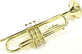 61UOGDoRFHL._AC_UF350,