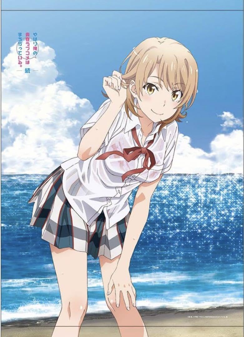 Amazon.co.jp: 俺ガイル 一色いろは 海 B2タペストリー : おもちゃ