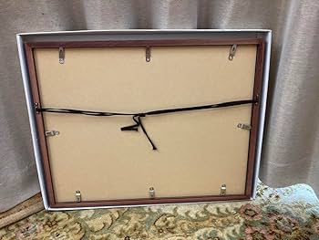 Amazon.co.jp: 直筆サイン入り コナン 複製原画 プリマグラフィ : 甲斐