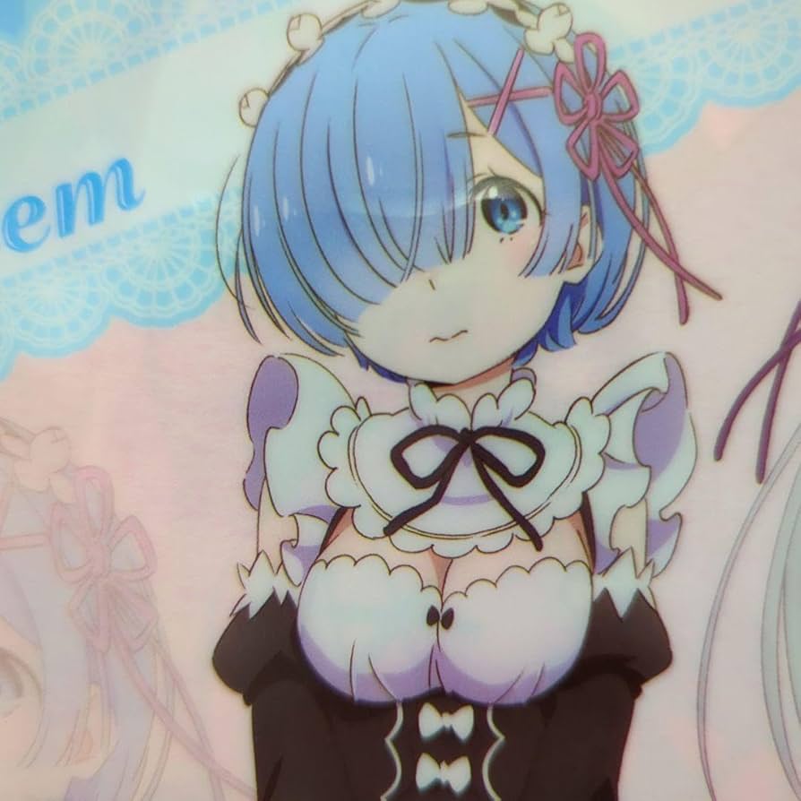 Amazon.co.jp: ?リゼロ エミリア レムA4クリアファイル Re ゼロから