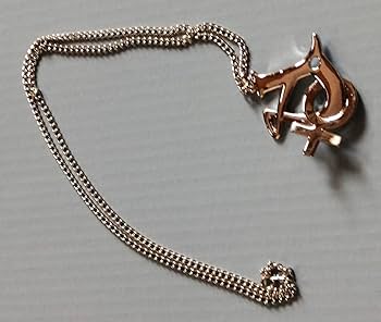 Amazon.co.jp: TM Network ネックレス グッズ 小室哲哉 宇都宮隆 tmn