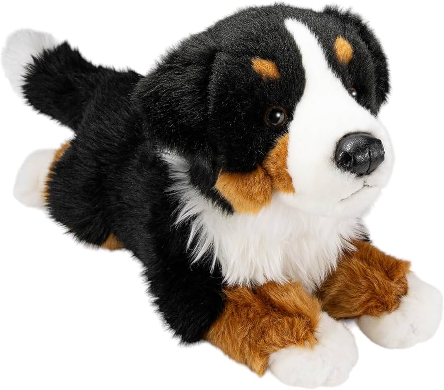 Amazon.co.jp: Carl Dick ベルニーズマウンテンドッグ12インチ、30cm