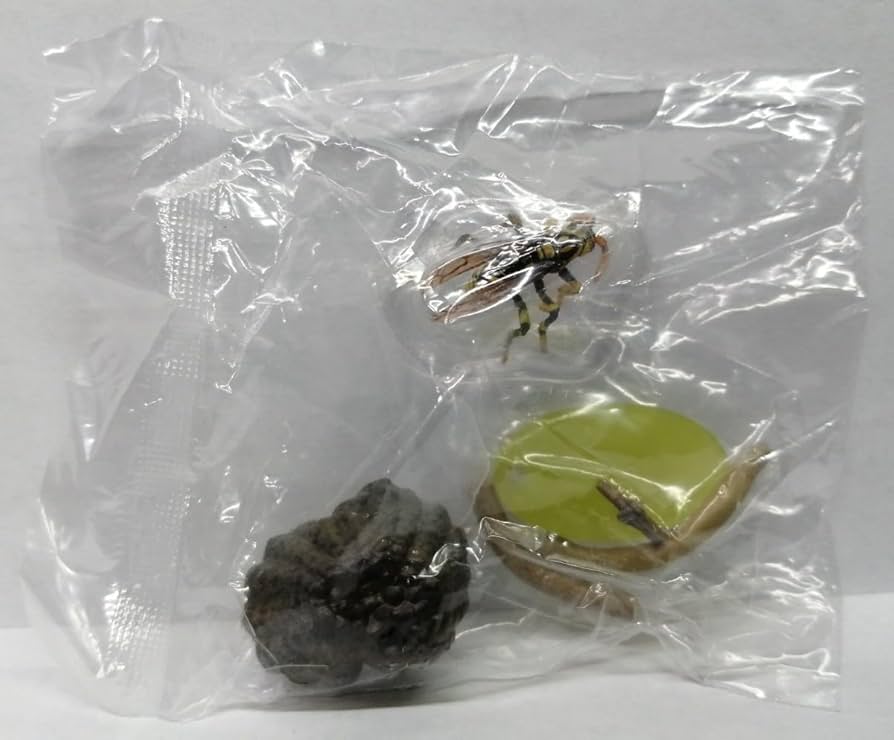 Amazon | キアシナガバチ 原色図鑑 原色日本昆虫図鑑II 蜂 ハチ