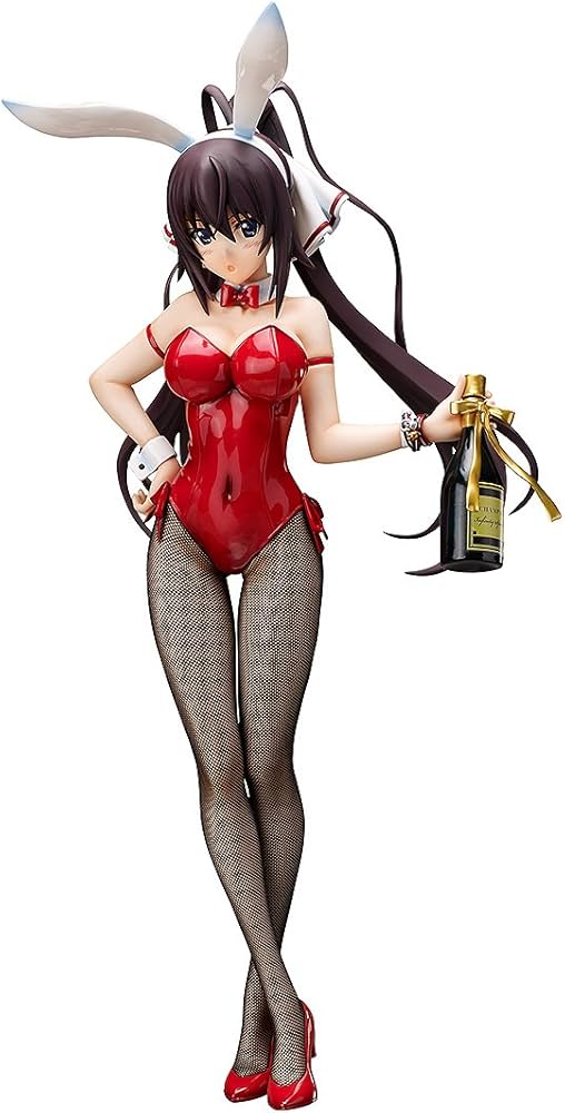 Amazon | IS [インフィニット・ストラトス] 篠ノ之箒 バニーVer. 1/4