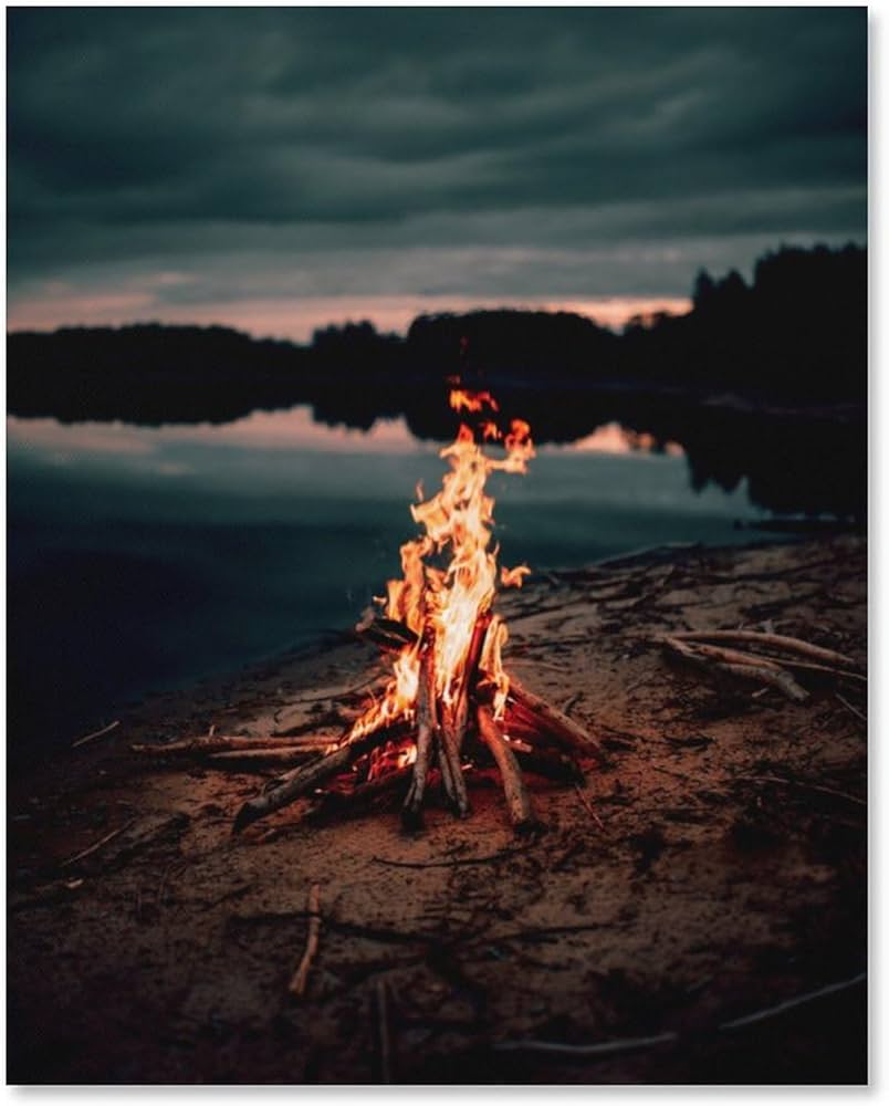 Amazon.co.jp: 絵画 夜の湖畔でキャンプファイヤーインテリア 絵画