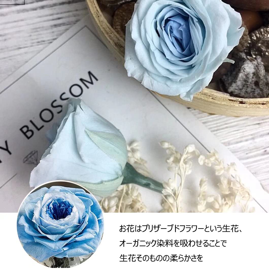 Amazon｜プリザーブドフラワー バラ ブルー ローズ 薔薇 3カラー 花