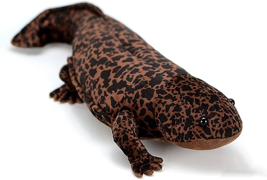 61XkAbo0FDL._AC_UF894,