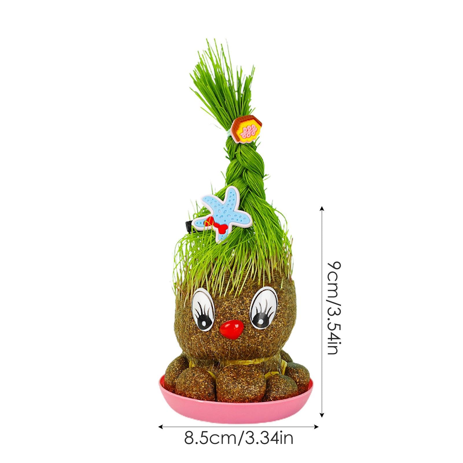 Amazon.co.jp: 鉢植えの頭草人形、草の頭を育てる植物、美しい鉢植えの