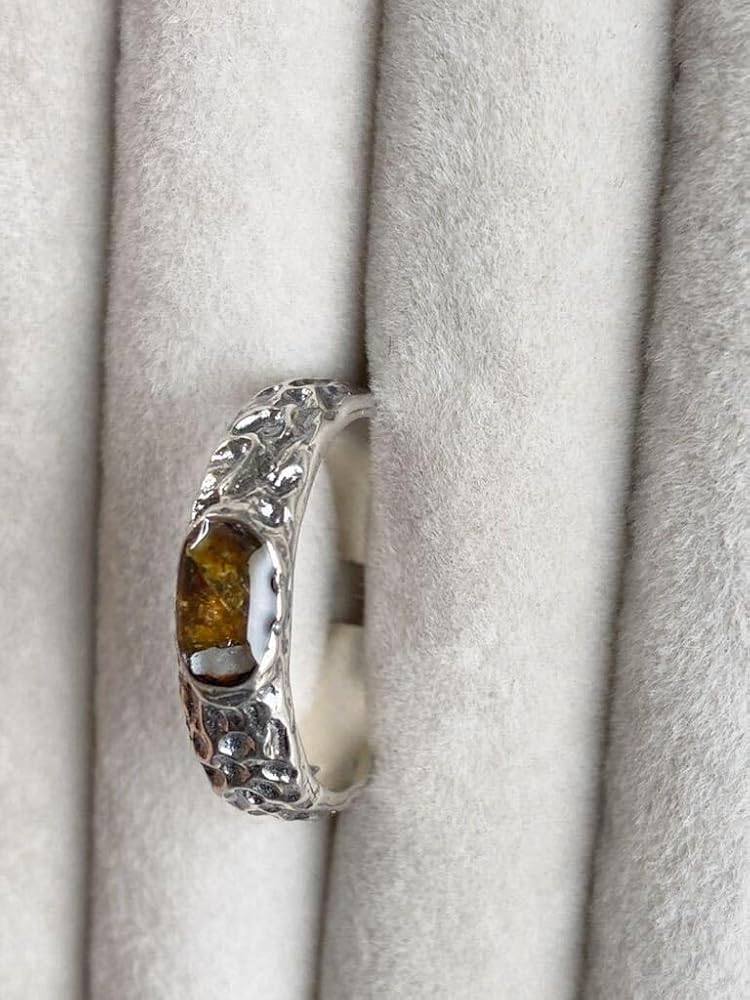 Amazon | パラサイト隕石の女王 イミラック隕石 指輪Imilac 幸運 仕事