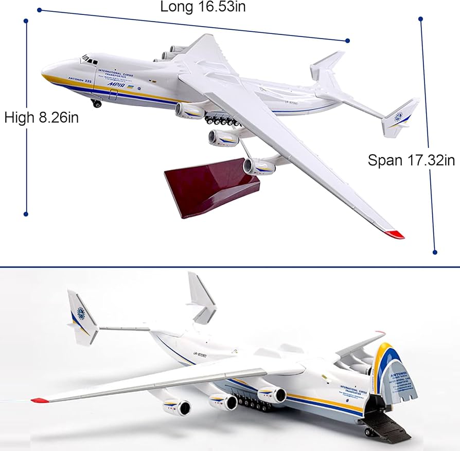 61YPm171oOL._AC_UF894,