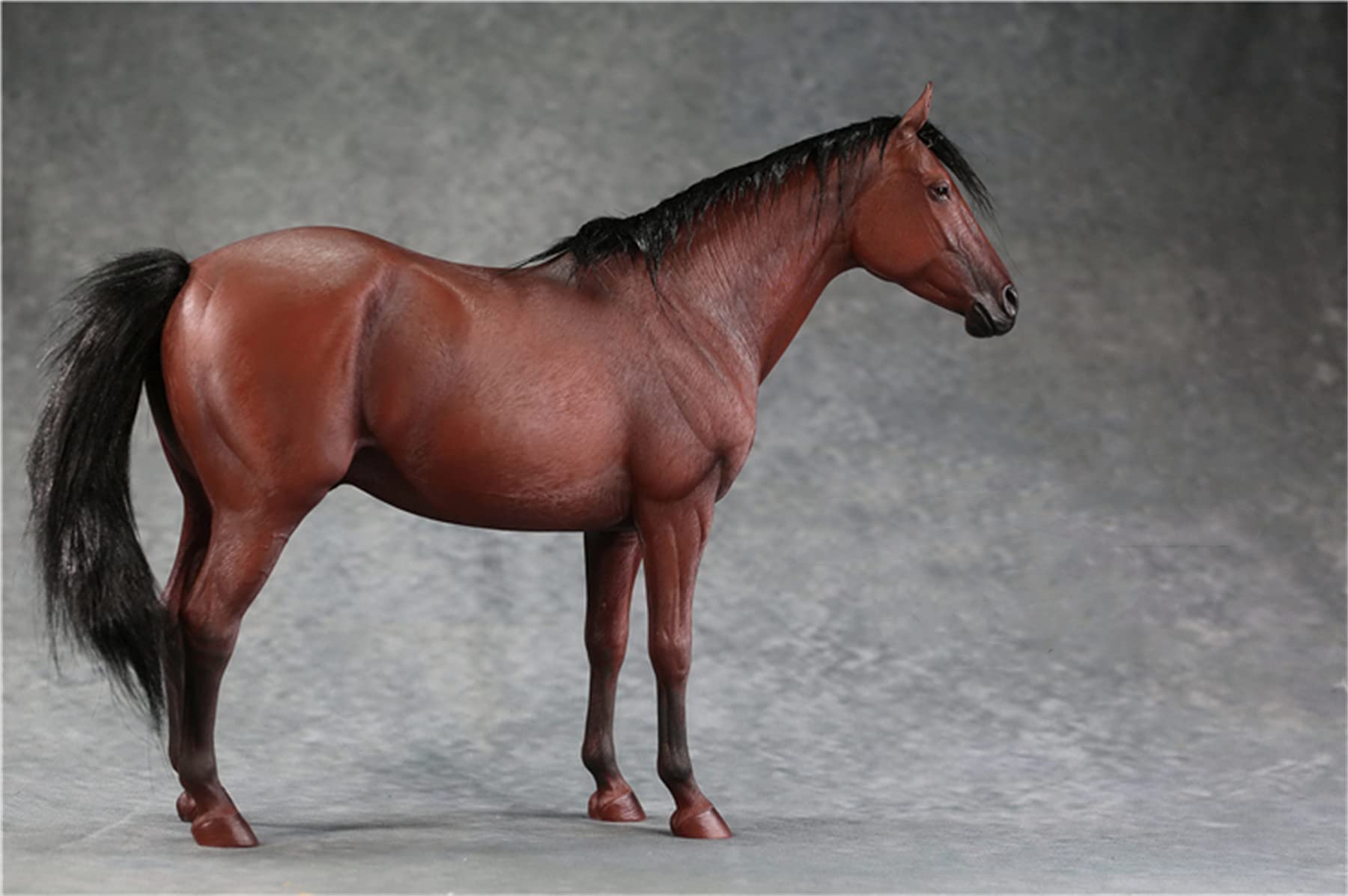 Amazon | Mr.Z 1/6 サイズ 馬 ホース サラブレッド 競走馬 アラブ種