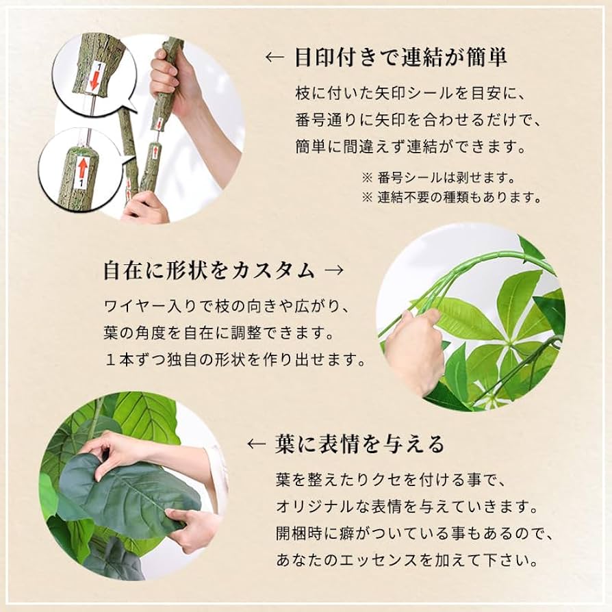Amazon｜三栄コーポレーション 人工観葉植物 光触媒 フェイクグリーン