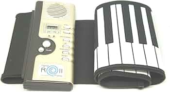 61YtfKPw2NL._AC_UF350,