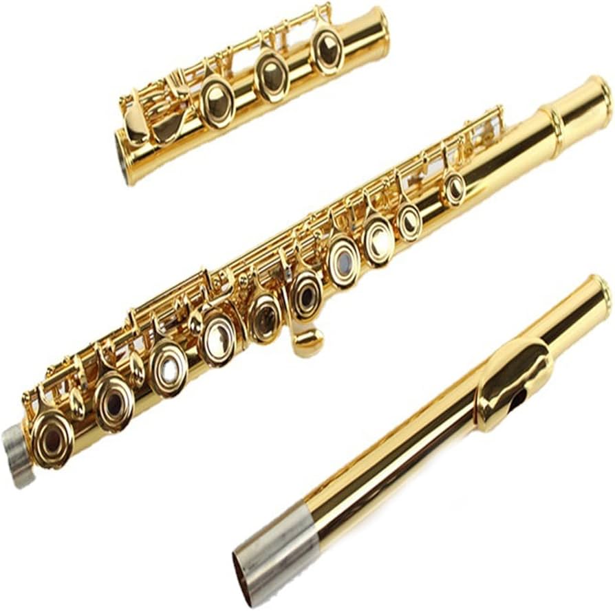 Amazon.co.jp: フルート 管楽器 金メッキ 17穴 オープンホール C