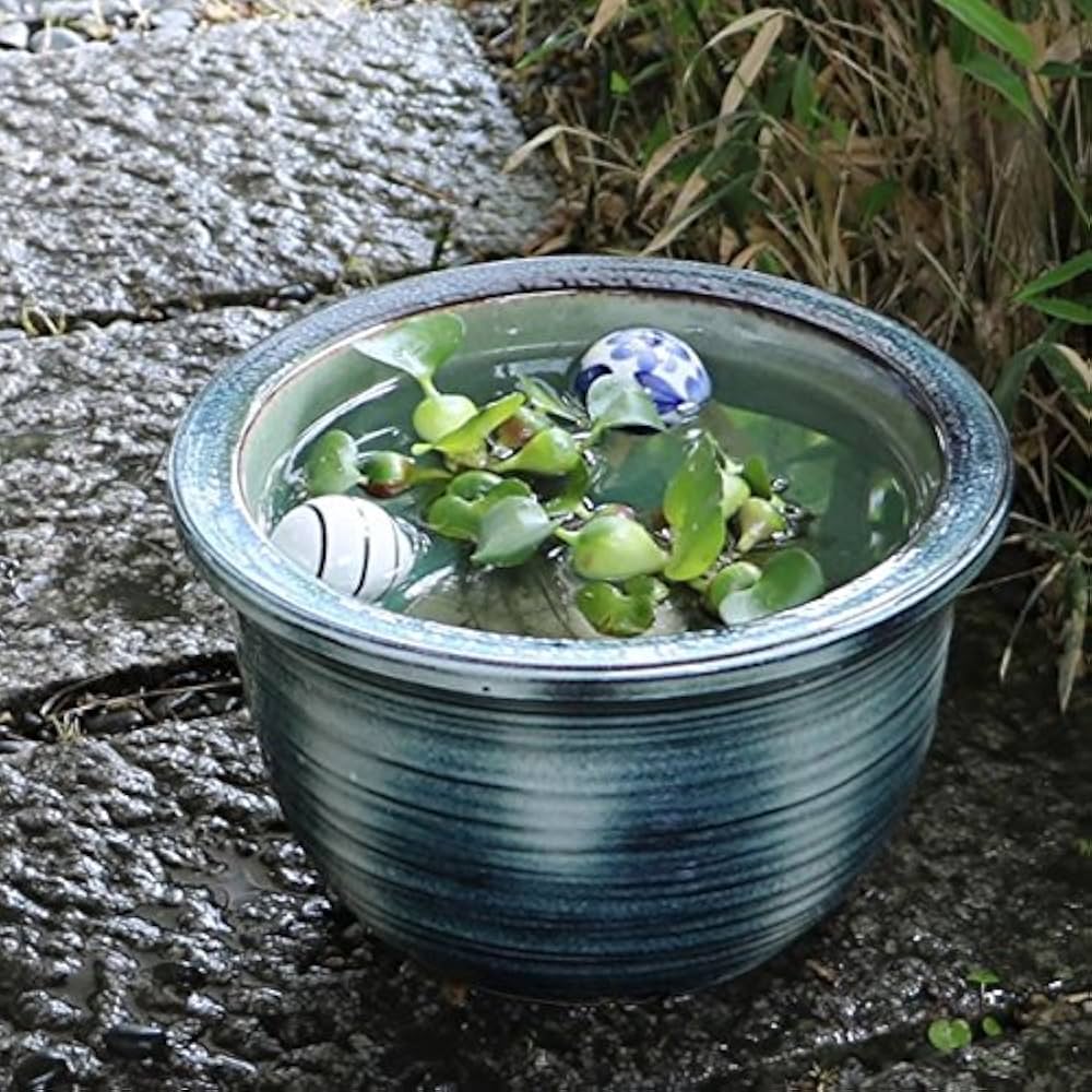 Amazon.co.jp: 信楽焼 10号みなも すいれん鉢 深型 メダカ鉢 睡蓮鉢