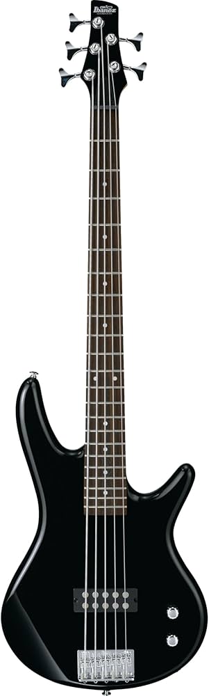 Amazon | Ibanez(アイバニーズ) GIOシリーズ 5弦エレキベース Black