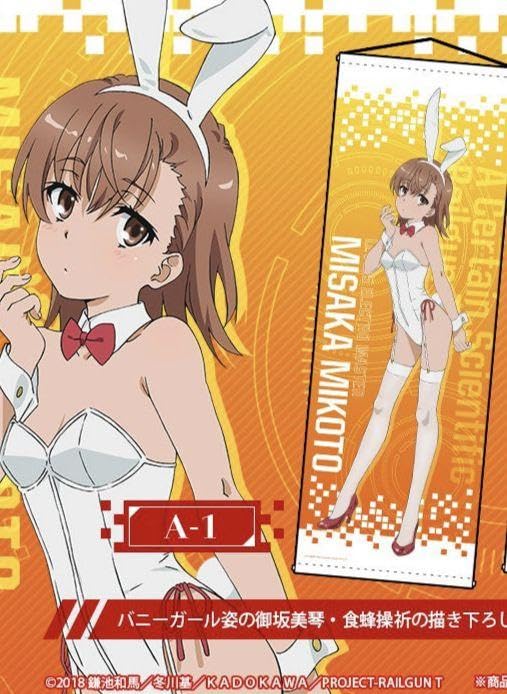 Amazon.co.jp: とある科学の超電磁砲 御坂美琴 ロングタペストリー