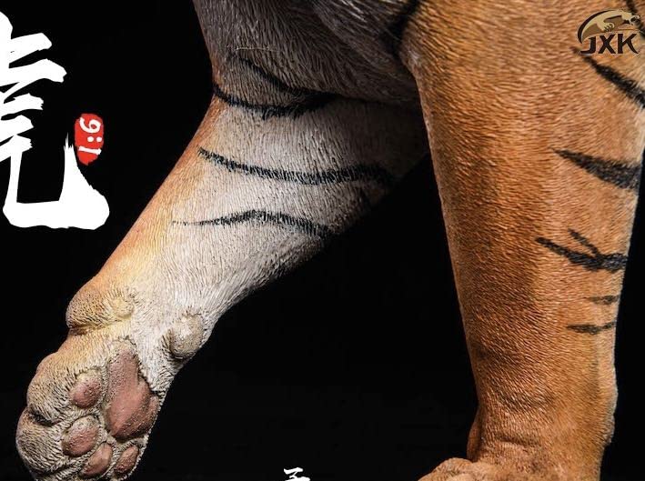 Amazon | ベンガル虎 ガレージキット フィギュア 海外スタジオJXK所蔵