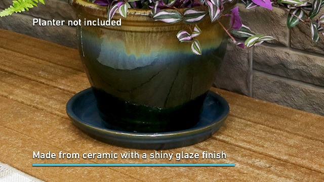 Amazon.com : Sunnydaze 12-Inch Ceramic Plant Saucers - Plant Drip