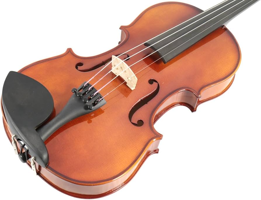 Amazon | Carlo giordano/VS-1 バイオリンセット 1/2 Violin Set