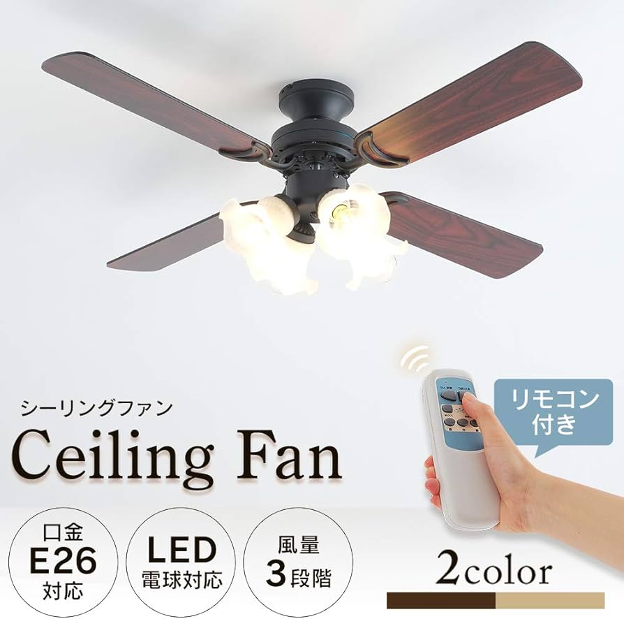 61aIAA8EkCL._AC_UF894,