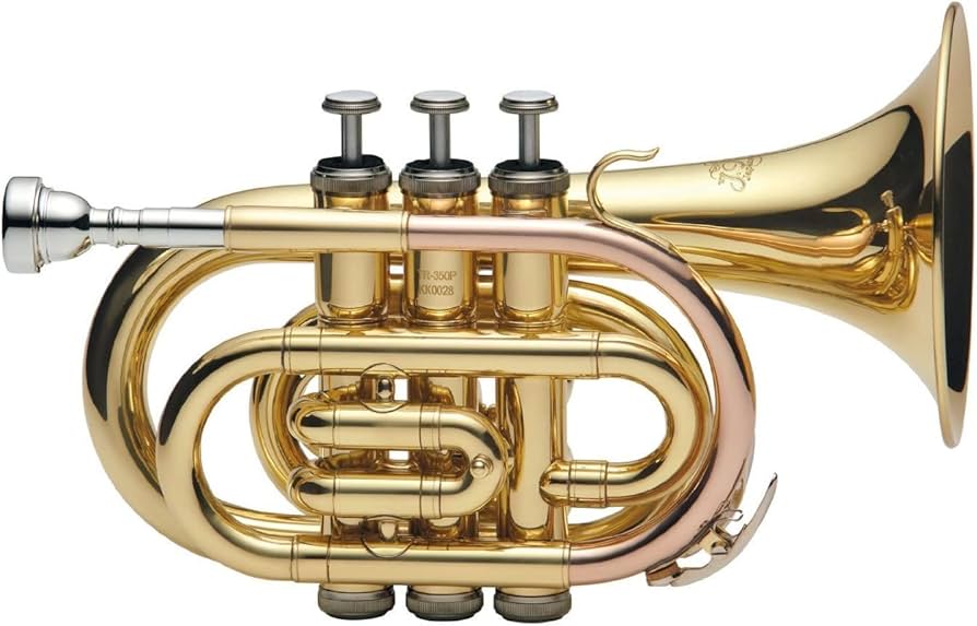 Amazon | Jマイケル ポケットトランペット TR-350PL | コルネット