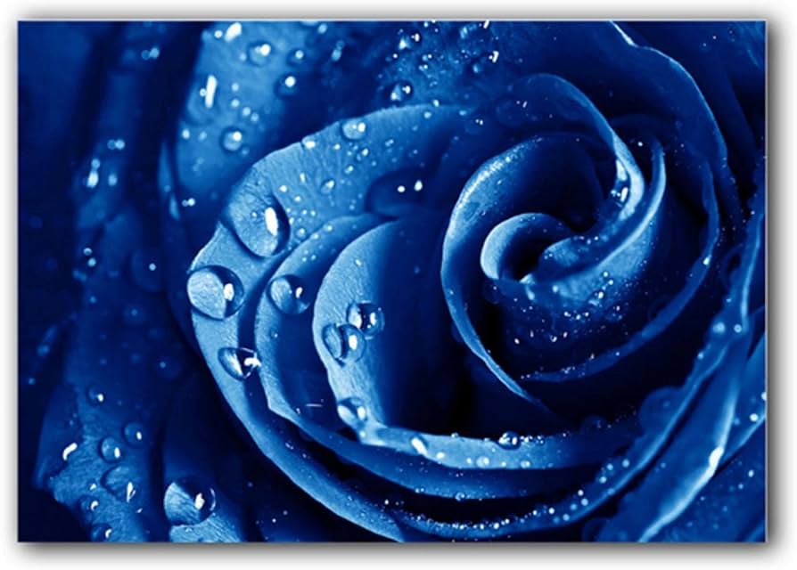 Amazon｜キャンバス絵画青いバラの花水滴ポスターとプリント 壁アート