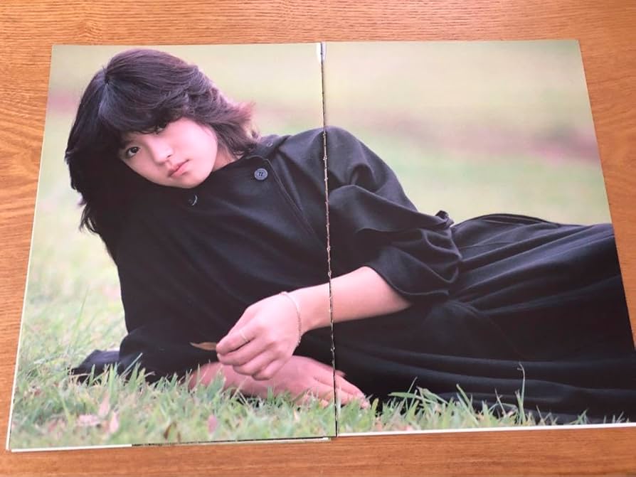 Amazon.co.jp: 中森明菜 切り抜き⑤80年代アイドル 昭和レトロ 絶版