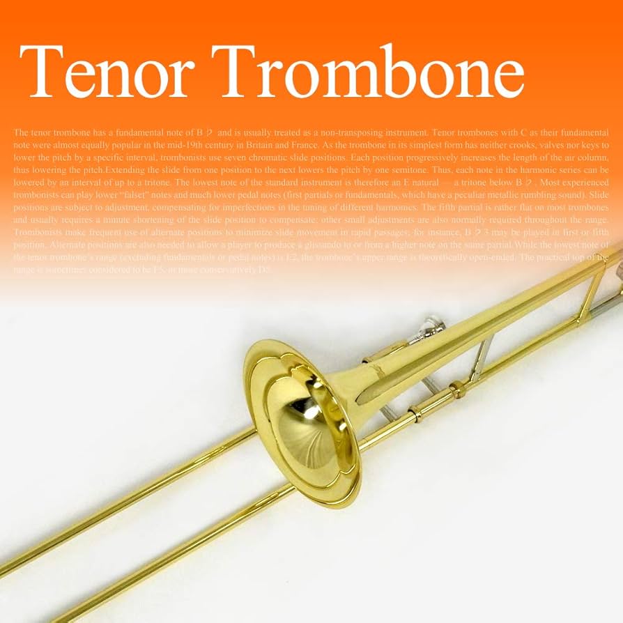 Amazon | Soleil ソレイユ テナートロンボーン STB【セミハードケース