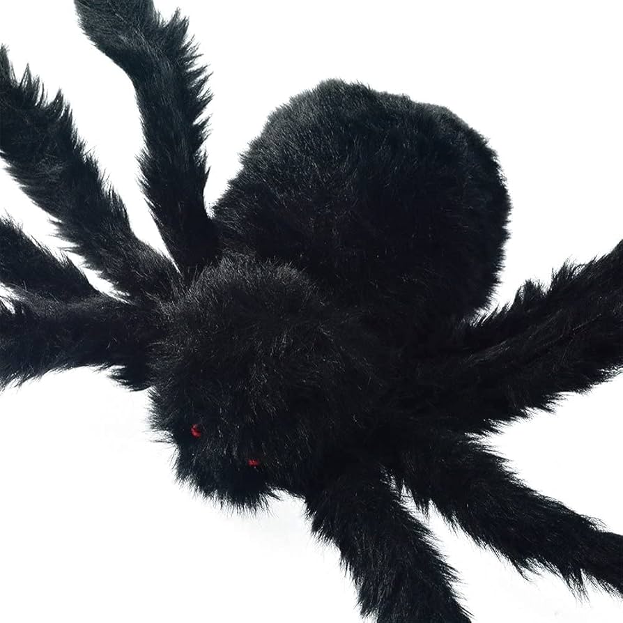 Amazon | ZOYUBS 黒蜘蛛 クモ スパイダー 巨大 ハロウィンパーティー