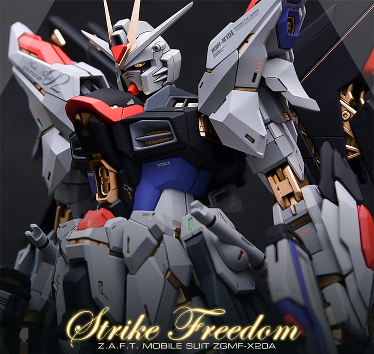 Amazon | MG 1/100 本体 ストライクフリーダムガンダム [MGEXではない