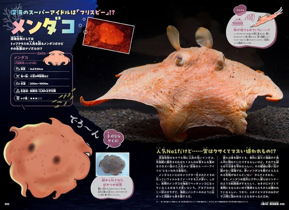 深海生物のくらし | 石垣 幸二 |本 | 通販 | Amazon