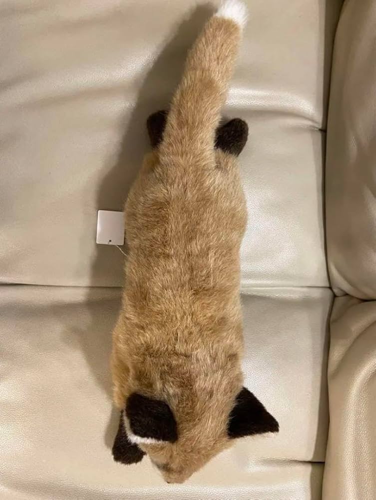 Amazon.co.jp: やまね工房 きつね ぬいぐるみ 落合けいこ 狐 ねむり