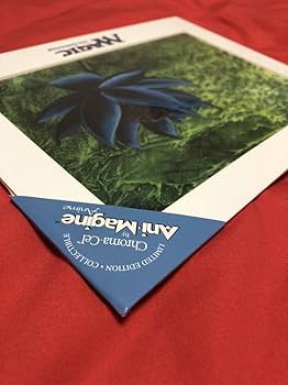 Amazon.co.jp: MTG アートプリント Black Lotus ブラックロータス複製