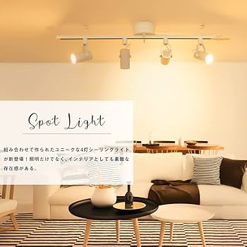 Amazon.co.jp : 共同照明 ダクトレール スポットライト 4灯 ダクト