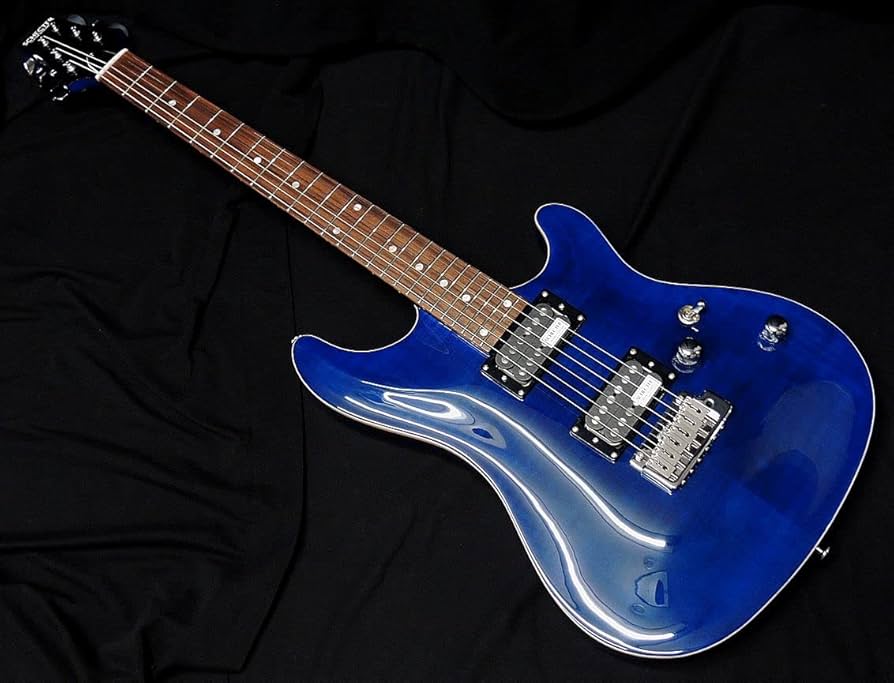 Amazon | SCHECTER RJ-1-24-VTR BLU PF シェクター アーチトップ