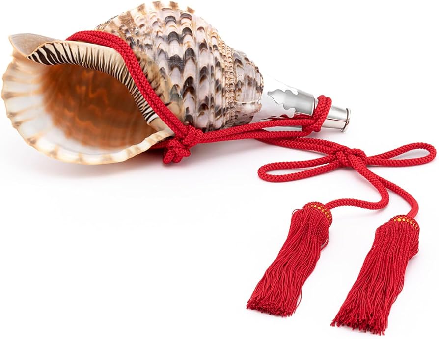 Amazon.co.jp: 伊勢 - 宮忠 - 法螺貝 ほら貝 楽器 笛 歌口付き 真言宗