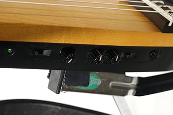 Amazon.co.jp: YAMAHA / SLG-100NW ヤマハ サイレントギター : 楽器