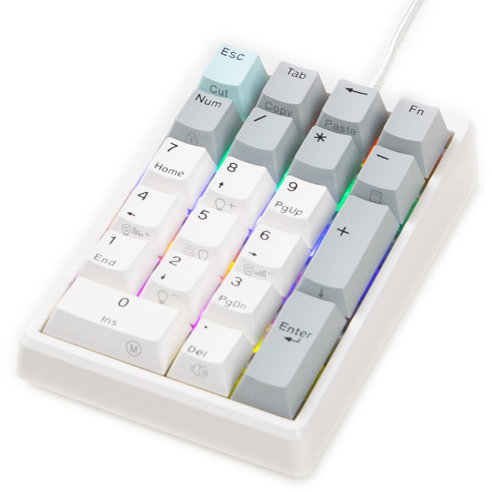 Amazon.co.jp: NiZテンキー EC21-1M 【バックライト付き】21キー 有線