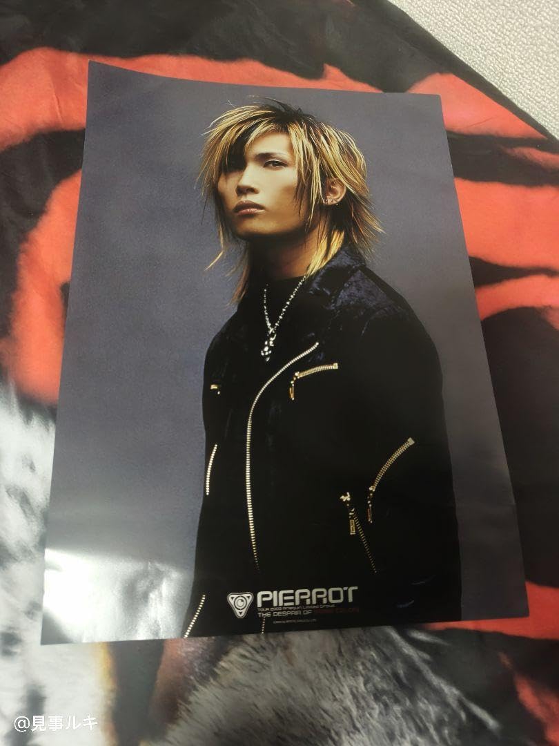 Amazon.co.jp: Pierrot ビジュアル系バンド ポスター 6枚セット : おもちゃ