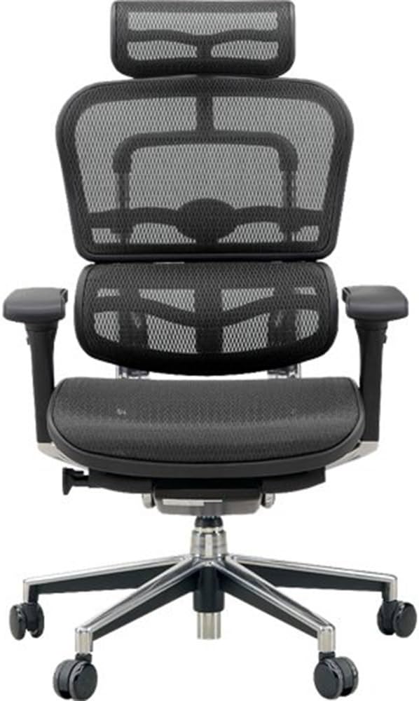 Amazon.co.jp: 【旧型】 エルゴヒューマン ベーシック オフィスチェア