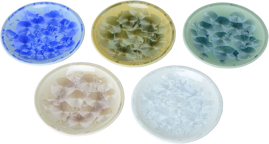 Amazon.co.jp: 京焼 清水焼 陶あん窯 銘々皿 揃 (5点セット) 花結晶