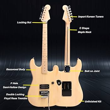 Amazon | ZUWEI エレキギター 自作 エレキギター DIYギター