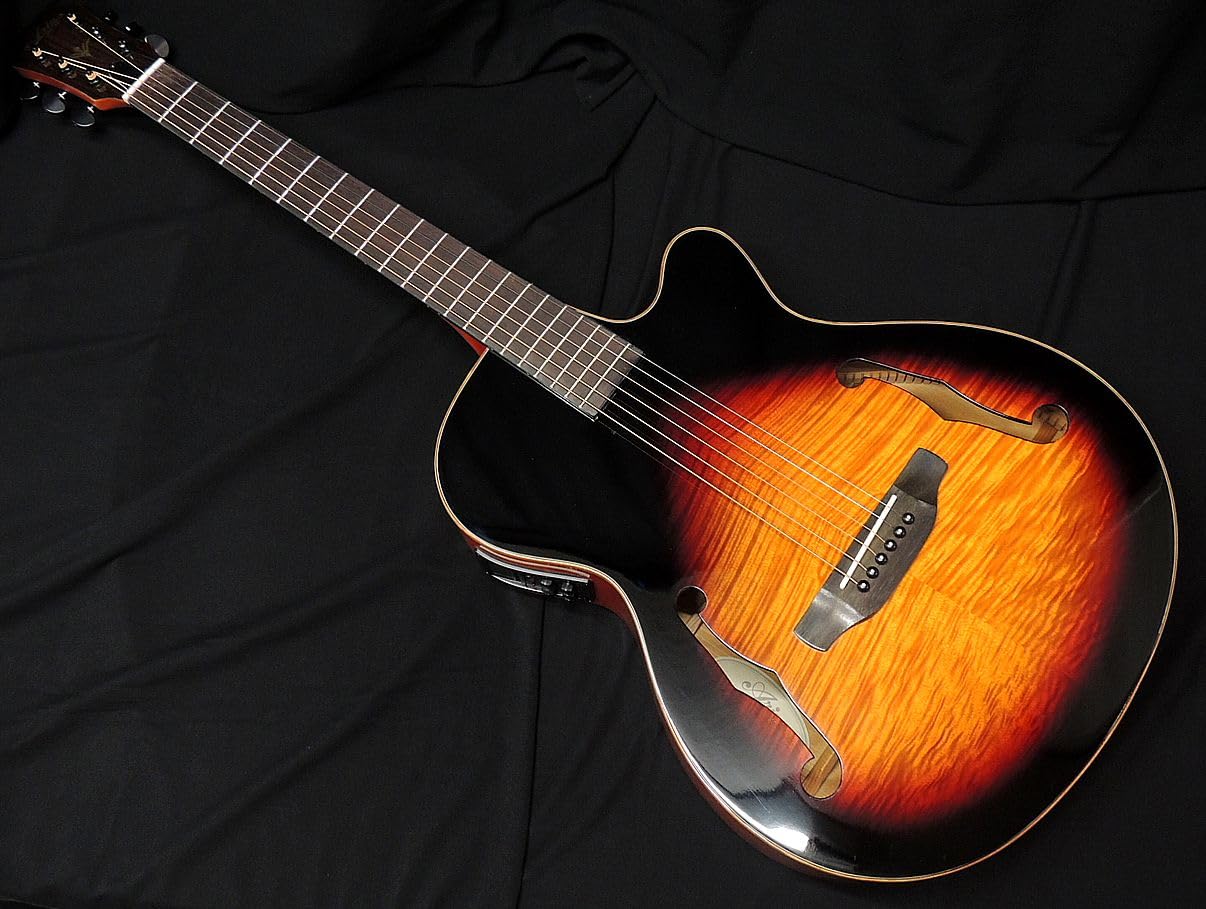 Amazon | 【特別カラー】ARIA FET-F2 BSG Fホールエレアコ オリジナル