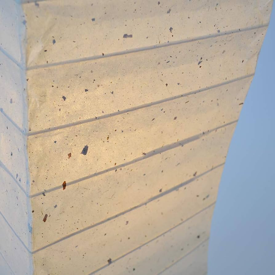 Amazon | 美濃和紙製 スタンド型フロアライト warp ワープ 粕紙 手作り