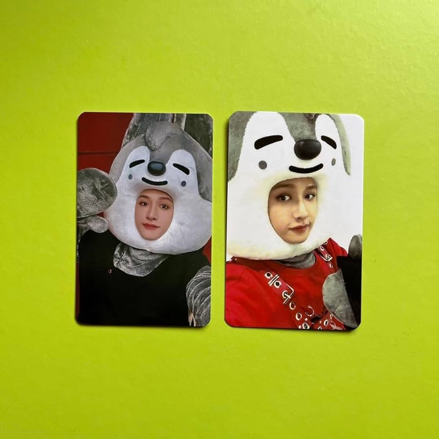 Amazon.co.jp: Stray Kids SKZOO トレカ バンチャン Bang Chan : おもちゃ