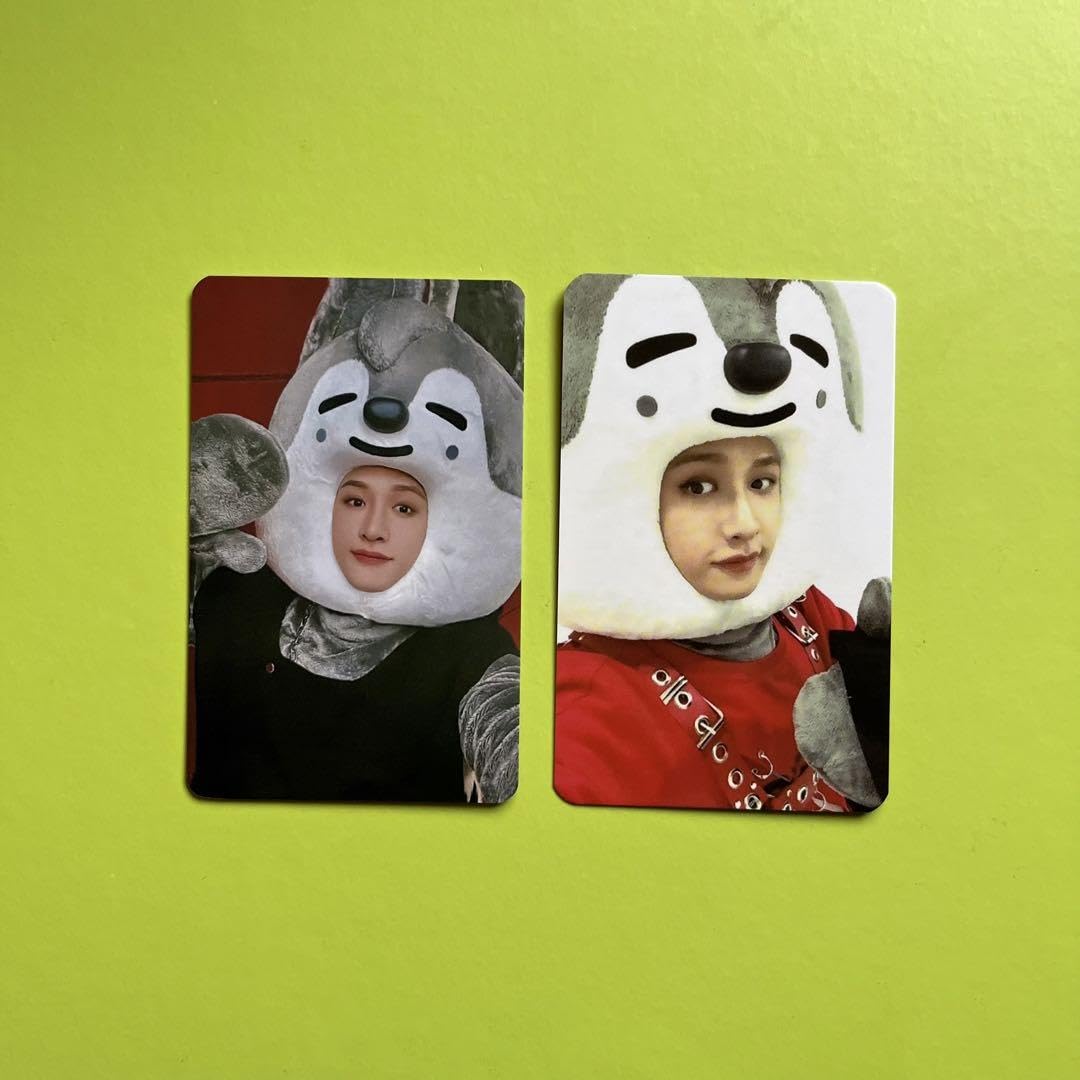 Amazon.co.jp: Stray Kids SKZOO トレカ バンチャン Bang Chan : おもちゃ