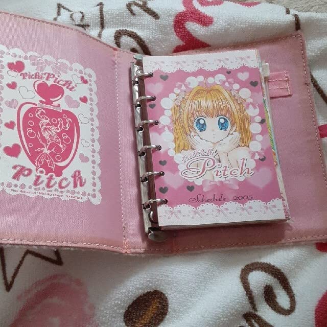 ぴちぴちピッチ ネックウォーマー ブローチ 応募者全員サービス なかよし