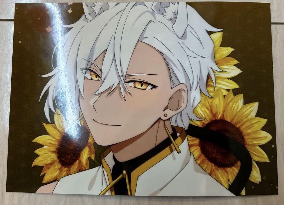 Amazon.co.jp: 混血のカレコレ屋 シディ ヒサメ : おもちゃ