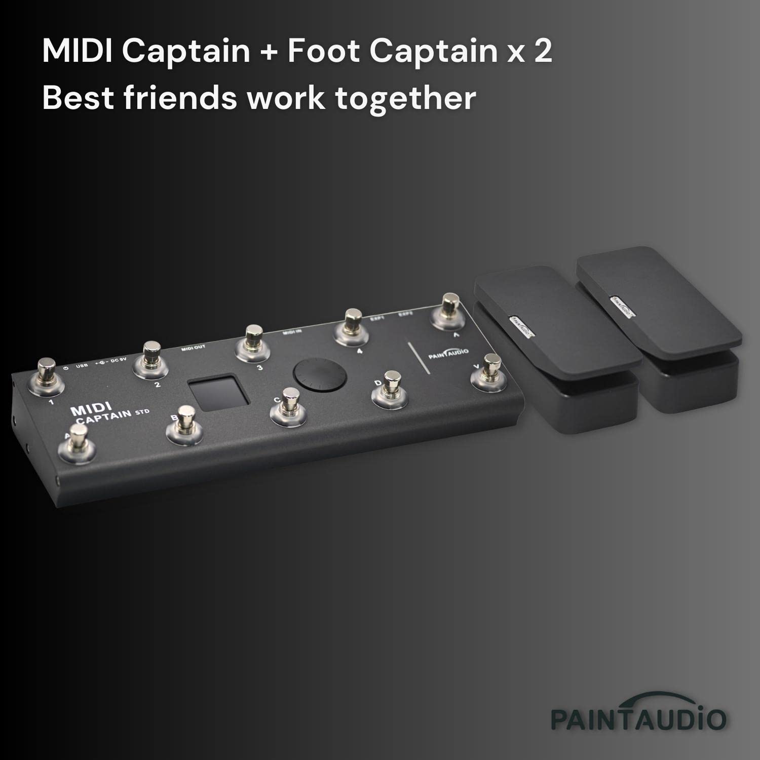 Amazon | Paint Audio フットキャプテン デュアル出力